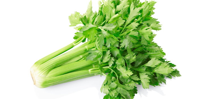 The Nutritional Food Value Of Celery Nutrition Healthy Eating