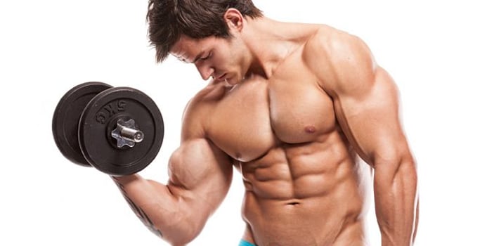 The Difference Between Body Building and Strength Training / Fitness / Body  Building