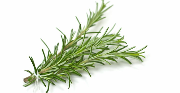The Nutrition of Rosemary / Nutrition / Healthy Eating
