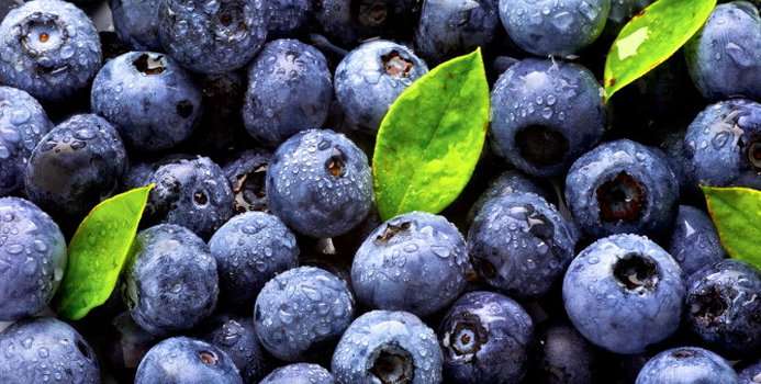 blue berries_000014287102_Small.jpg