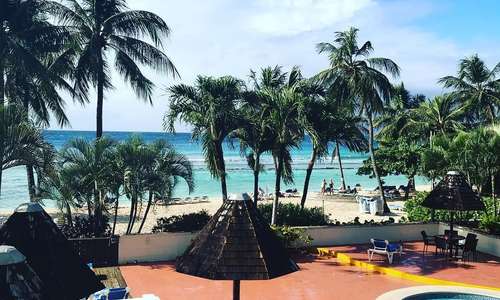 Morning view ????????# Barbados #coconutcourt