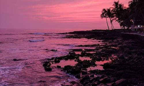 Trading the mountains for the beach this week!???????????????? #hawaii #thebigisland #kona #kailua #beach #sunset #paradise #nofilter #springbreak #beautiful #breathtaking #ocean #lavarock #pinksky #paradise #oceanfrontroom #astonkonabythesea #holualoa #aloha