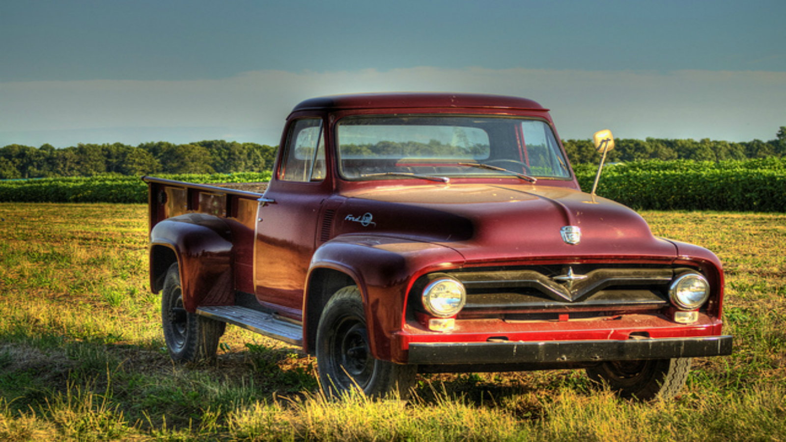 5 Things to Look at When Buying a Vintage Ford Truck