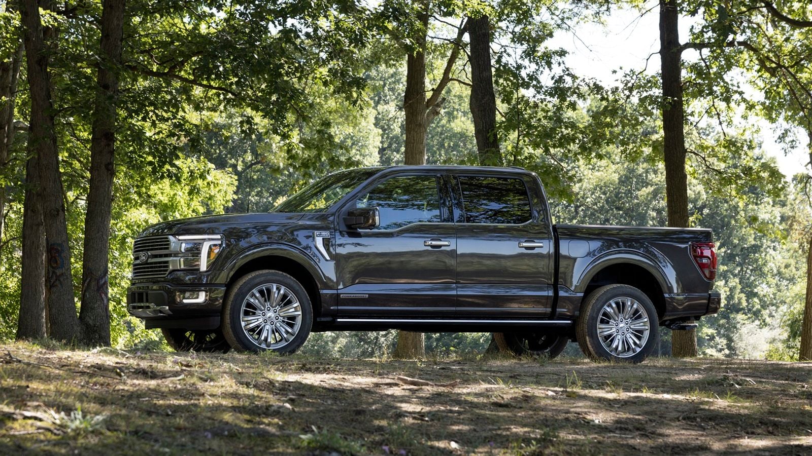 2024 Ford F-150 Buyer's Guide (Every Model, Engine, & Package)