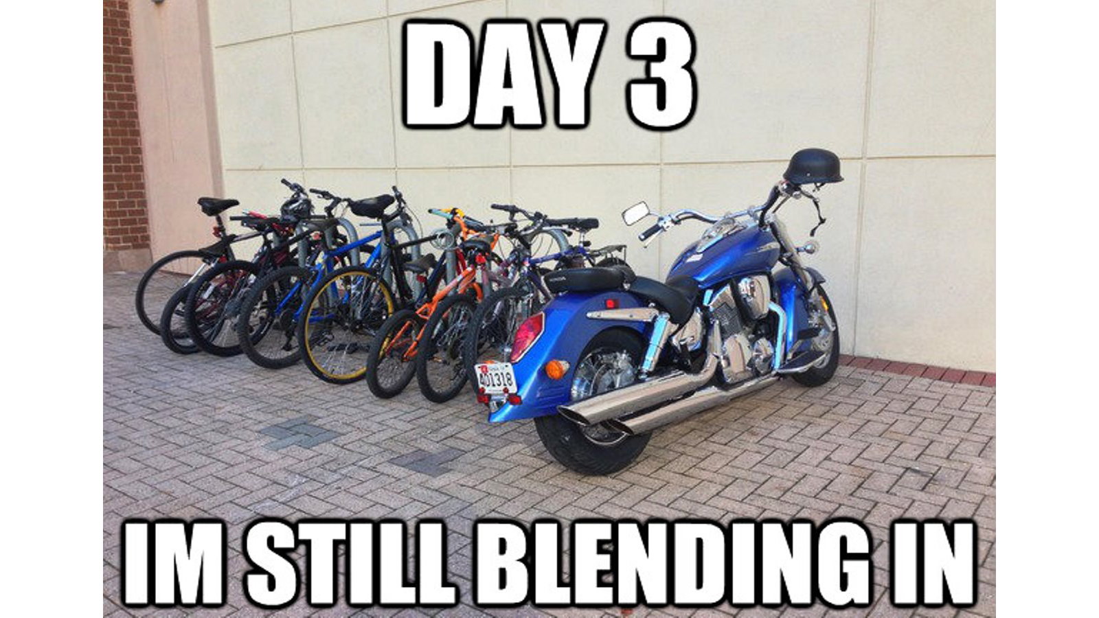 15 Funny Biker Memes Hdforums.