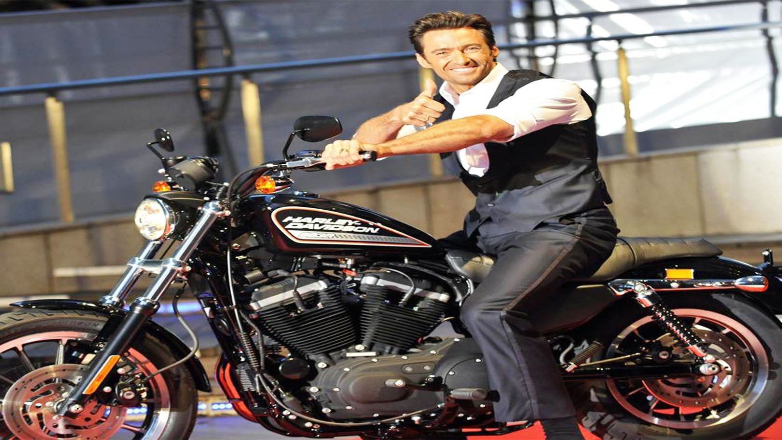 sylvester stallone harley davidson