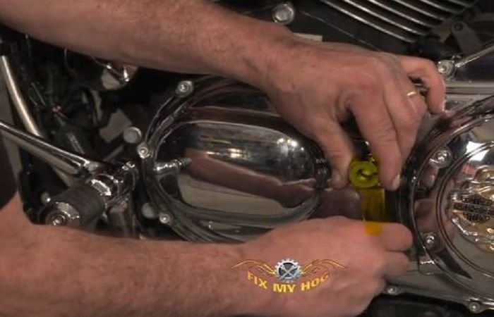 Harley Davidson Softail transmission issues