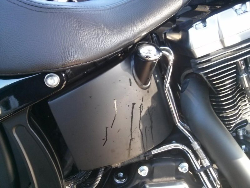 Harley Davidson Softail oil leaks