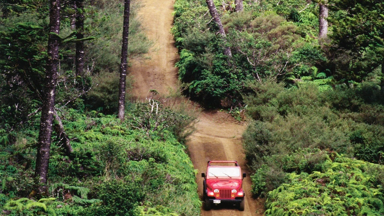 jeep bike trail