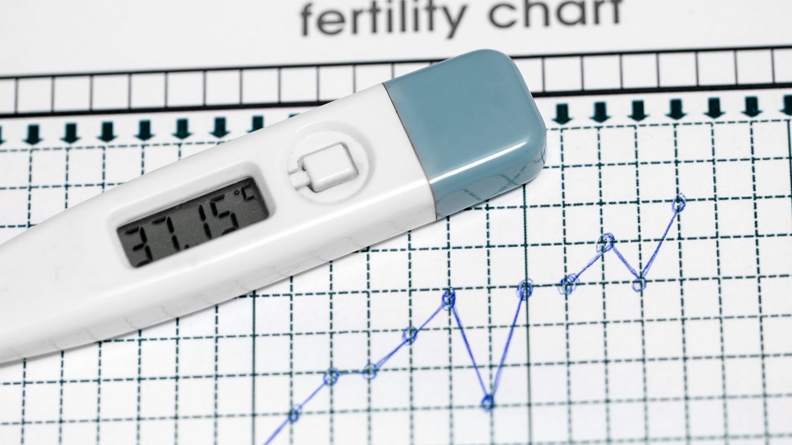 fertility chart showing ovulation