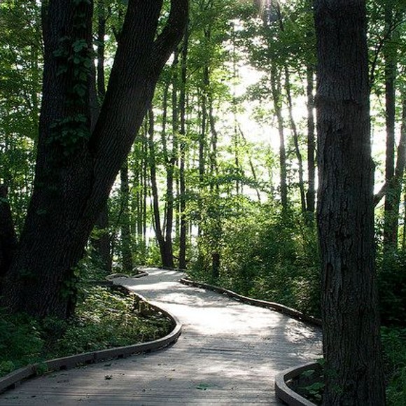 EcoFriendly Baby Shower Ideas