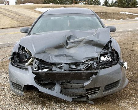 car deer collision image