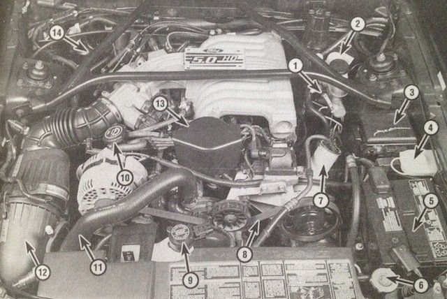 Ford Mustang V6 1994-2014: Why is My ABS Light On? | Mustangforums