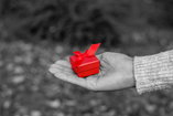 black and white photo of an open palm bearing a small red gift box