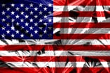 American flag with marijuana plant imprinted