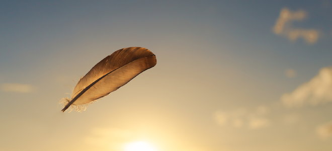 a feather floating against a blue sky