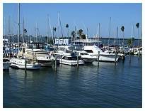 DSCF0211.JPG