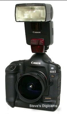 Canon EOS-1Ds Pro SLR. Photos are (c) 2002 Steve's Digicams