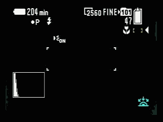 Sony DSC-F717 Review - Steve's Digicams