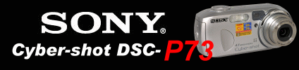 Sony Cyber-shot DSC-P73