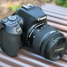 Camera Canon EOS Rebel SL3 DSLR Review thumbnail