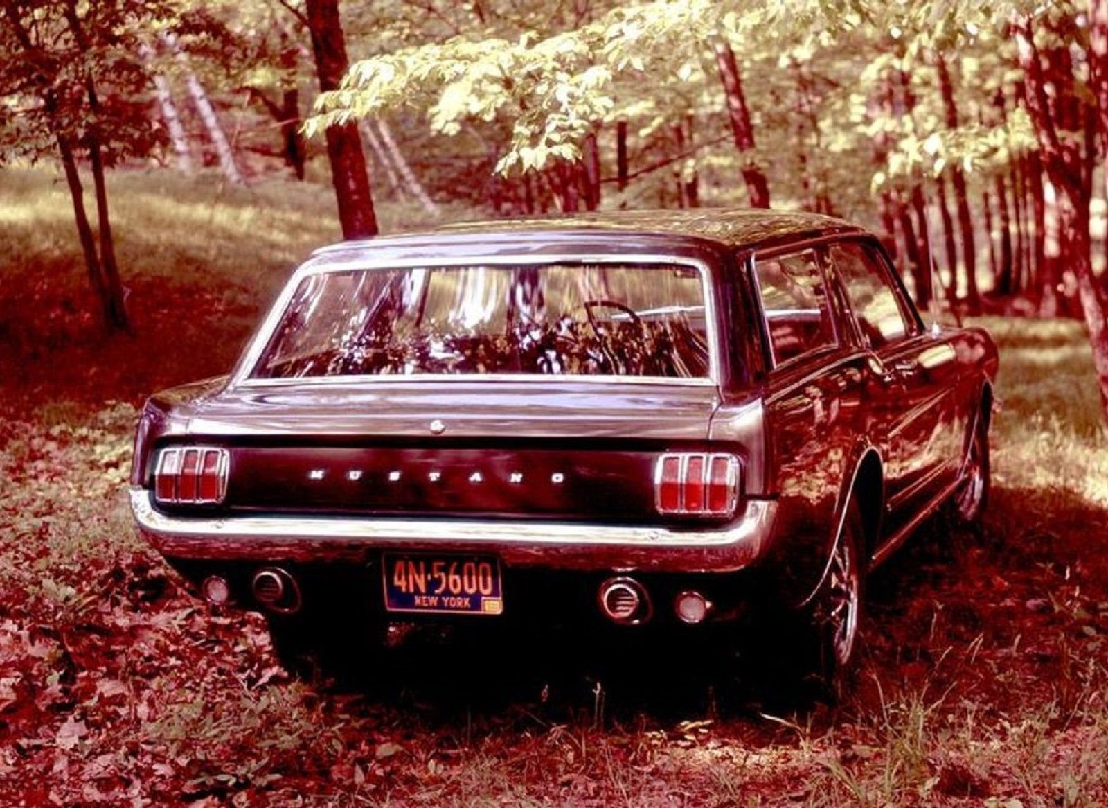 1965 Ford Mustang Station Wagon v8