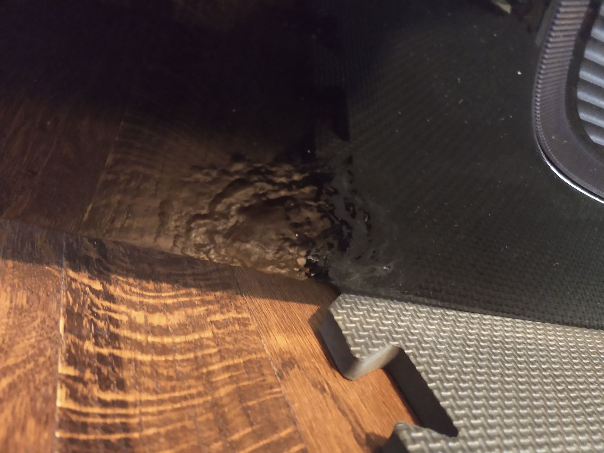 Exterior Body Parts - FS: 06 Acura TL Trunk Lid / Deck - Used - 2004 to 2008 Acura TL - Hackensack, NJ 07601, United States