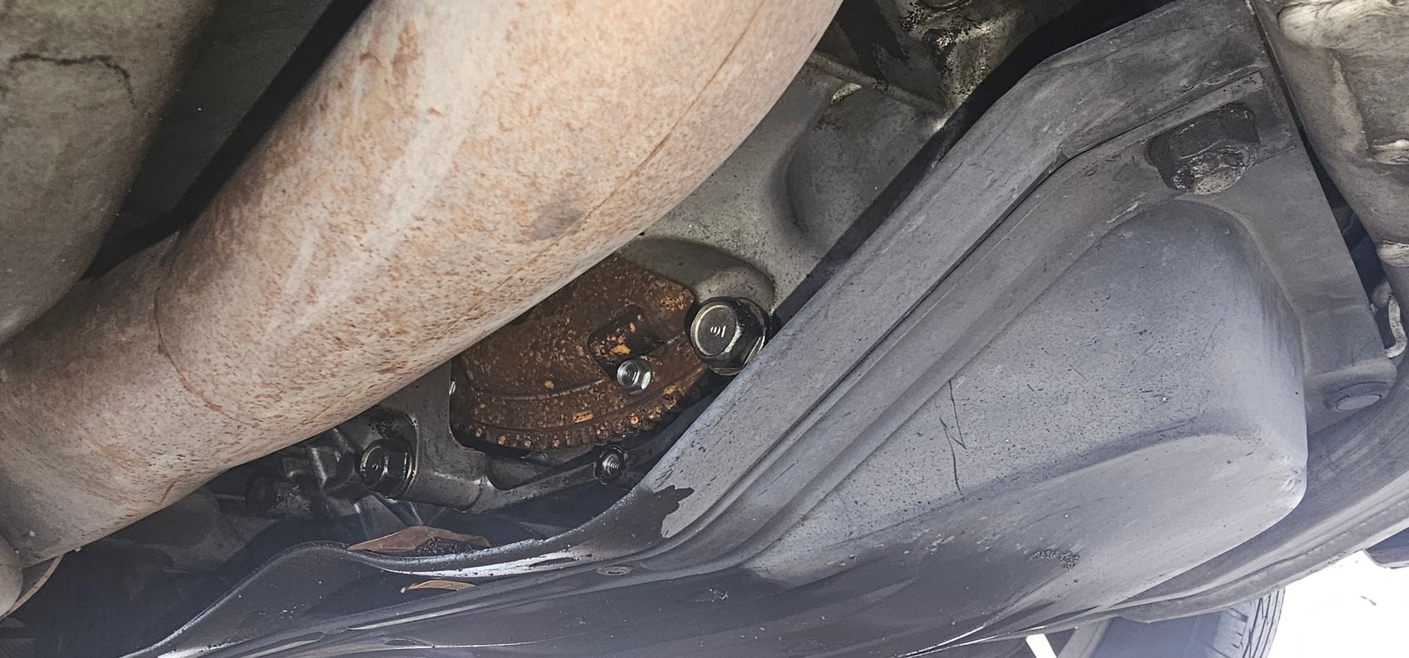 The best shoot I could get. Is this normal or should this be covered?