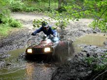 Look, Dad, I'm Stuck!!                                                                                                                                                                                  