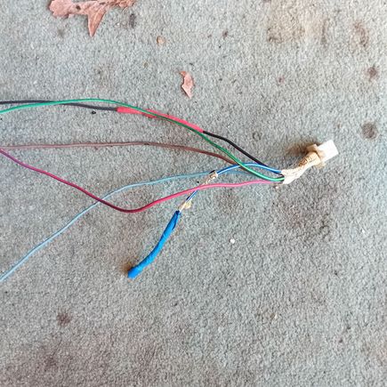 This is part of the old loom and was connected to a fuel cut off relay.