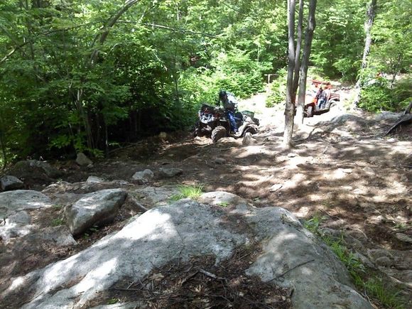 moose climbing up a rocky part of the trail-