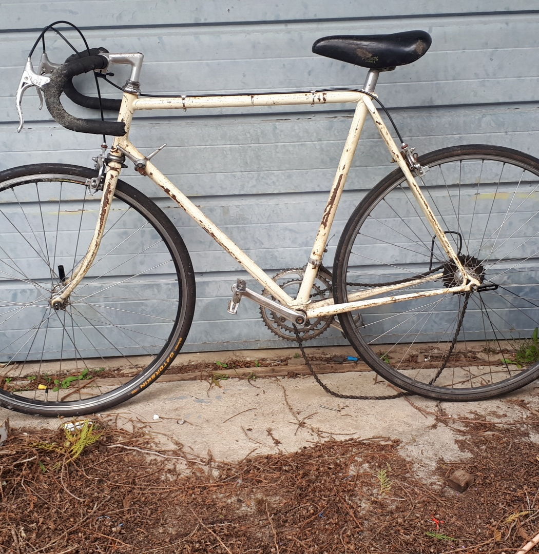 Identify this vintage frame? - Bike Forums