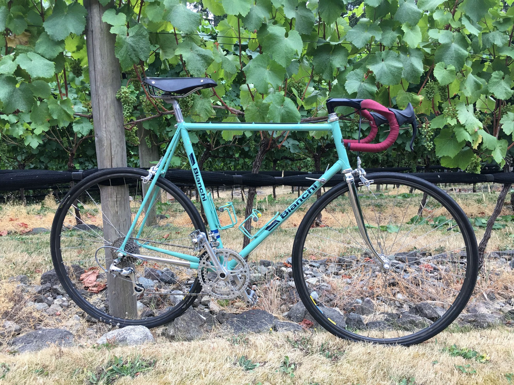 Ugh, falling down the rabbit hole with a Bianchi Trofeo - Bike Forums