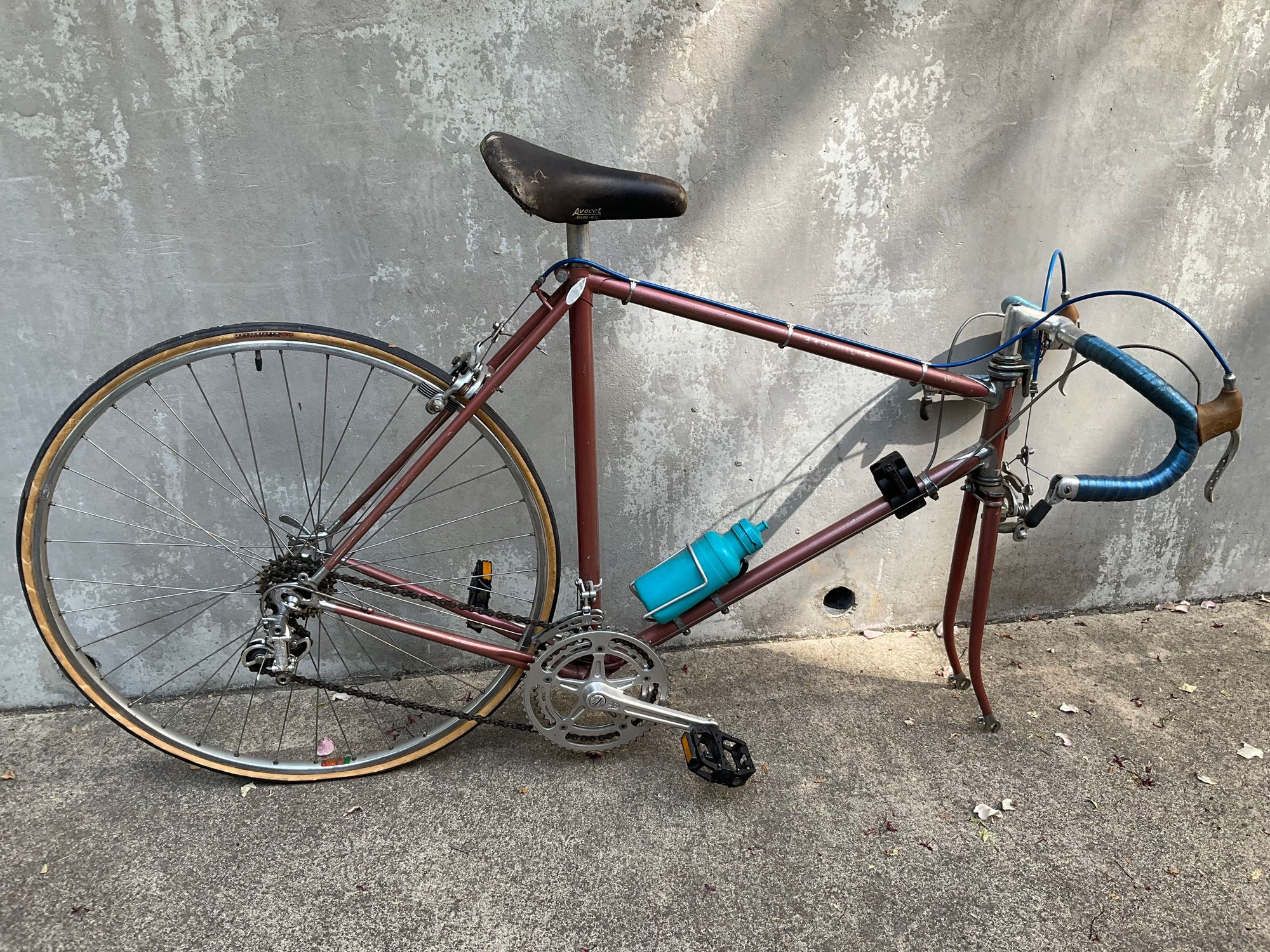 Early Nishiki Pro? Twin plate crown, Chrome lugs, Campagnolo bits.