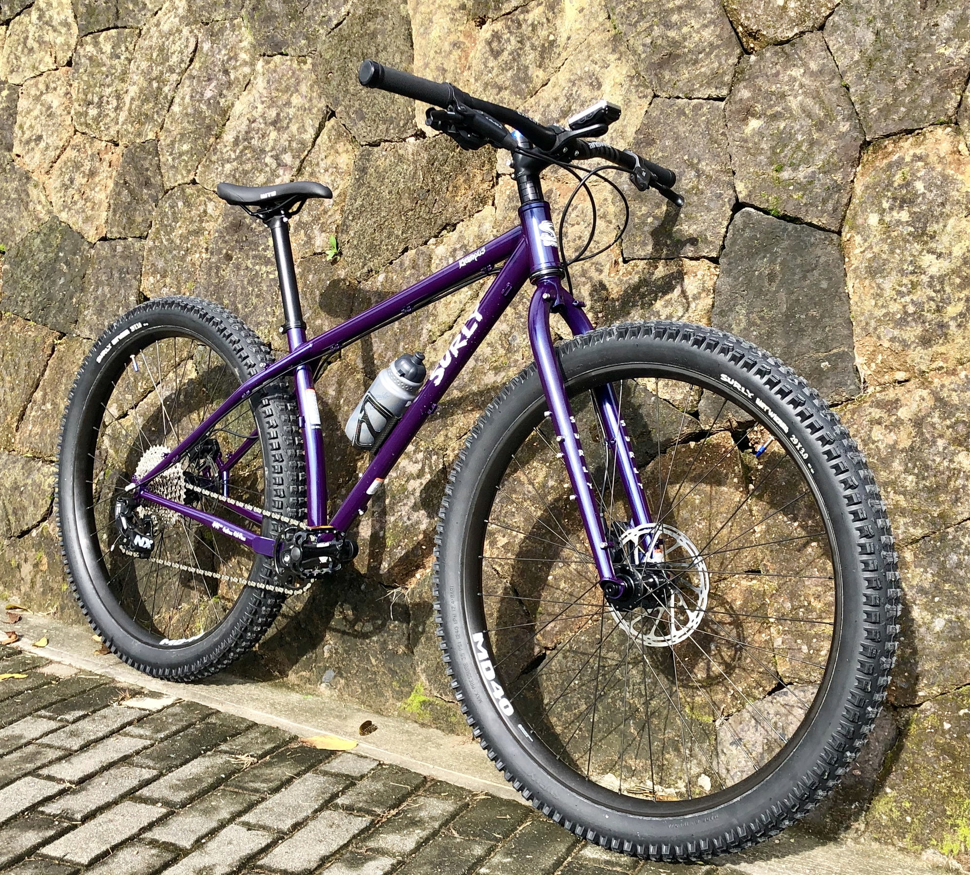 bike without suspension