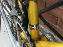 Very dirty and neglected