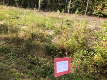 School kids painted pictures which were placed along the road about every 1/2 mile 