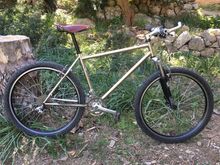 I love posting the Ritchey Nitanium. 
Ritchey Logic Pro - nickel plated.