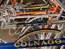 From front to back: 82 Colnago Super, 82 Trek 950, 75 Moto Le Champion, 75 Moto Champion Team, 74 Moto Grand Record, 71 Schwinn Paramount, 75 Peugeot PX10