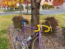 It's a beautiful fall day in Colorado, colors changing...