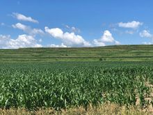 Typical Iowa but love these terraces 