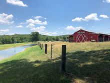Neat animal farm.