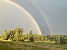 Found nothing at the end of the rainbow but there was a drunk leprechaun that was passed out lol 