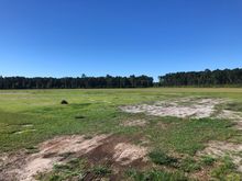 What used to be tobacco fields are now grass sod farms. All the new houses are being sodded for instant yards.