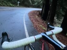 Little redwood grove near Tilden Park.