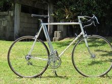 79 PX  creamy pearly white