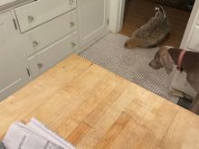 Come back. You too Greta. I said nothing about Weimaraner fur. 