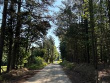 A lovely straightaway