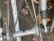 Campy hubs. These wheels ….

We can swap but I do not have any Fiamme which is what should be in there. 

How about some gray Ambrosio?