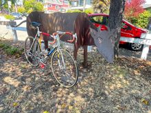 Obligatory photo of the bike,  taken just a few blocks before I got back home.